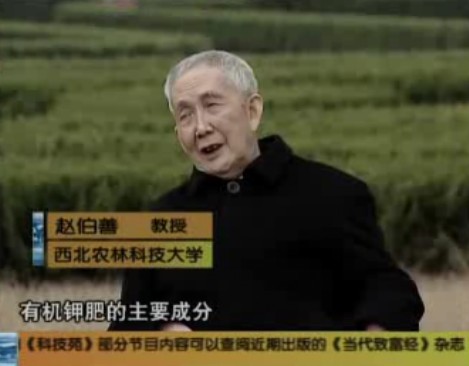 視頻測試